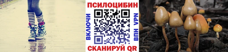 наркота  Вичуга  Галлюциногенные грибы Cubensis 