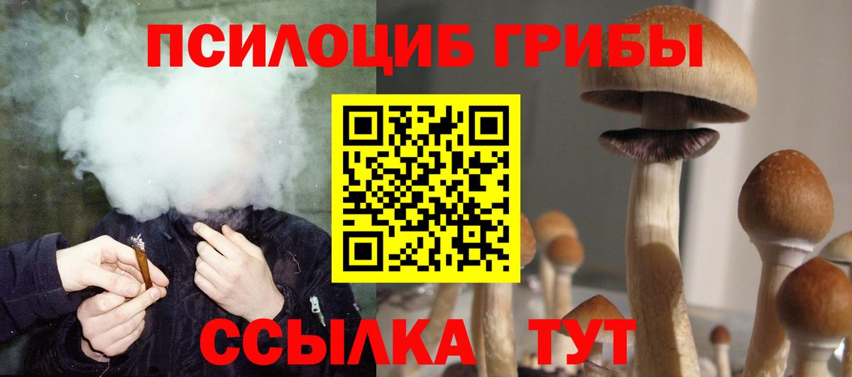 Псилоцибиновые грибы Cubensis Вичуга